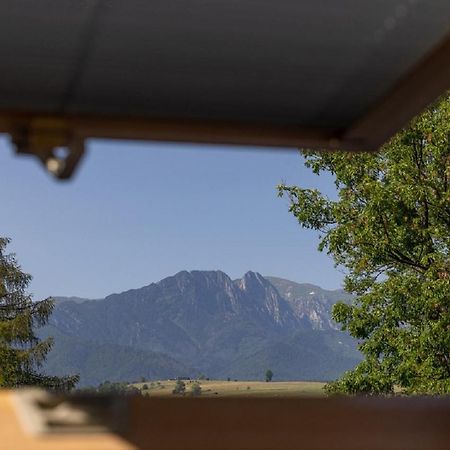 Apartamenty U Anusia 扎科帕内 外观 照片
